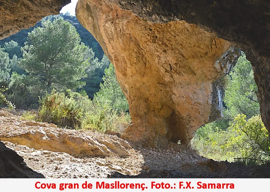 Fotografia de MASLLORENÇ, COVA GRAN DE (2 de 3)