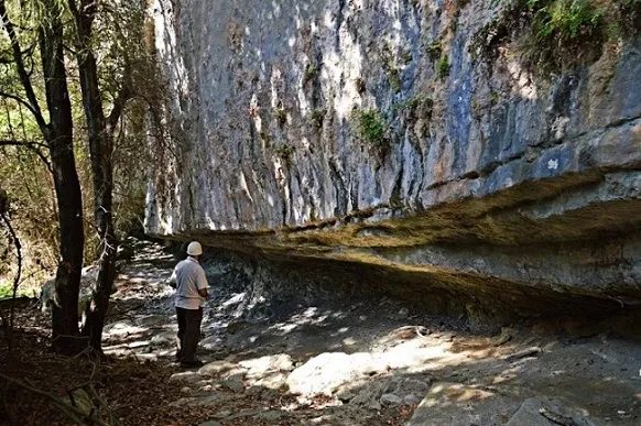 Photograph of SUNYER DE BAIX, BALMA DEL (1 of 5)