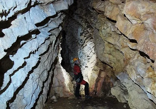 Fotografía de CINGLE DE ROCA ALTA, AVENC DEL (8 de 8)