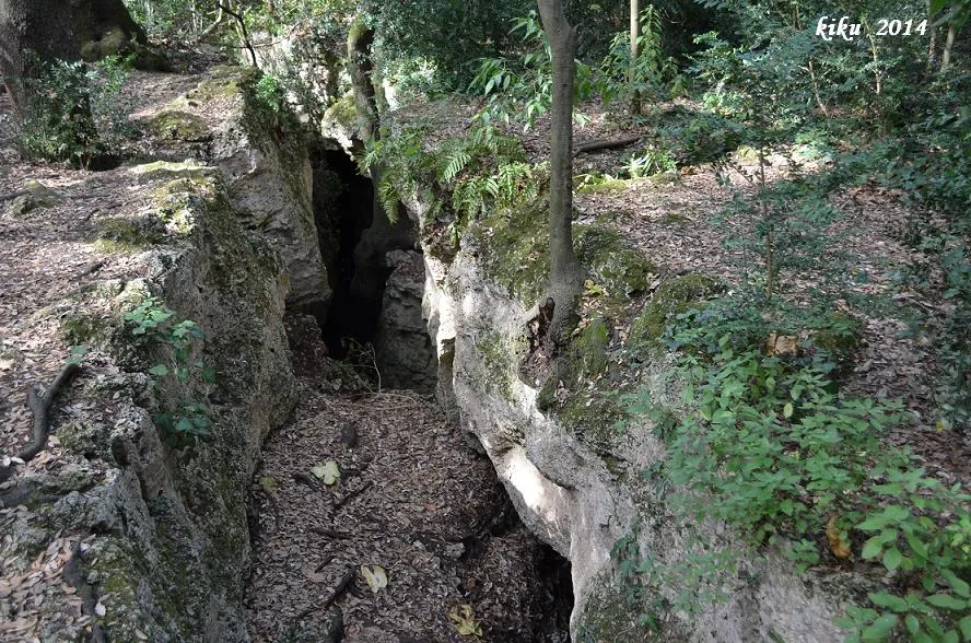 Photograph of ESTUNES, LES (2 of 7)