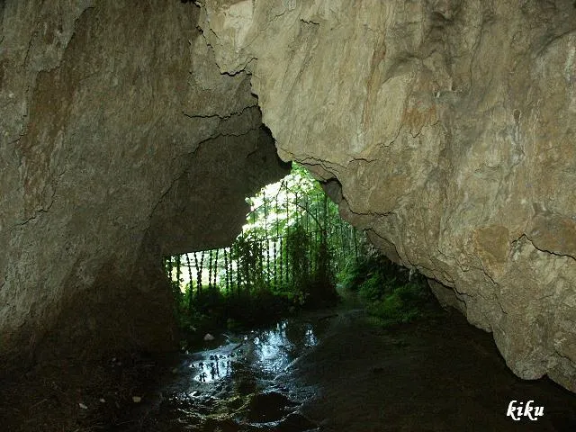 Photograph of TORRE, COVA DE LA (9 of 9)