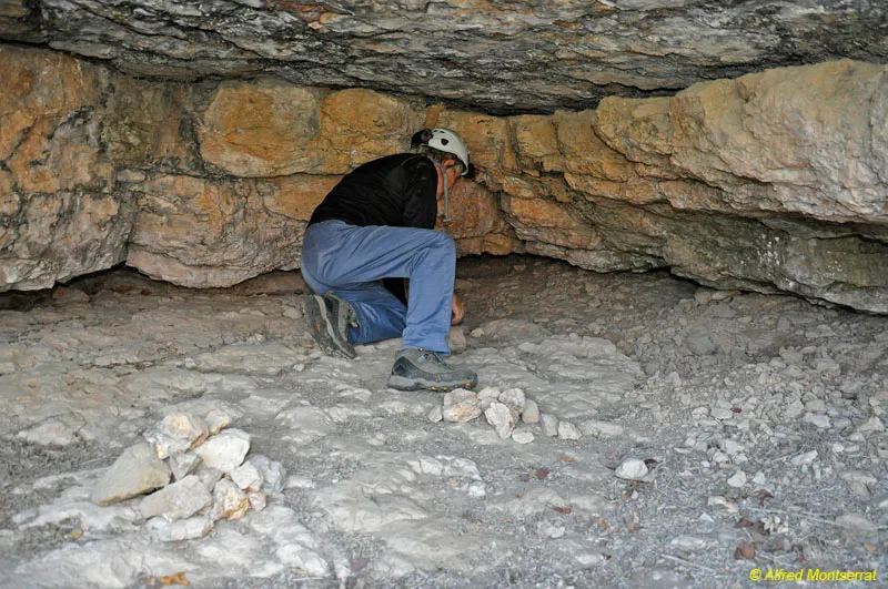 Photographie de VALL-LLOSSERA, COVA B-2 DE (3 sur 3)