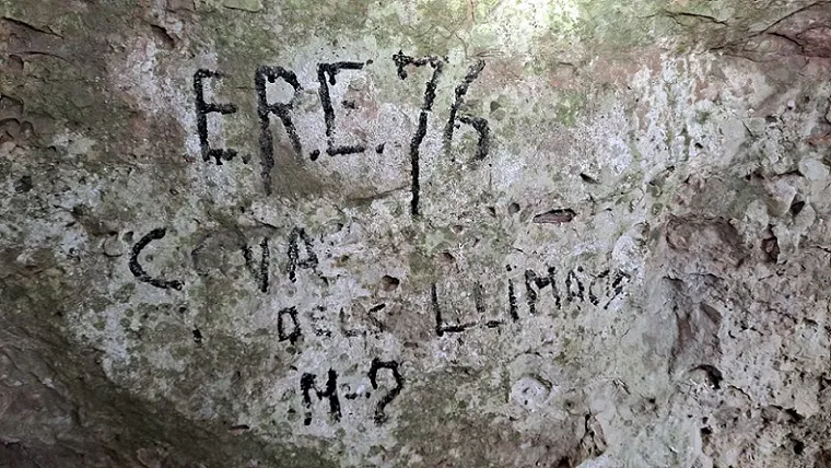 Fotografia de LLIMACS, COVA DELS (1 de 3)