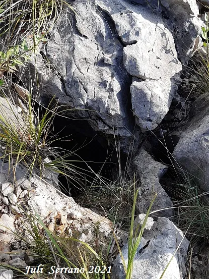 Fotografia de ESBIT, AVENC DE L' (4 de 4)