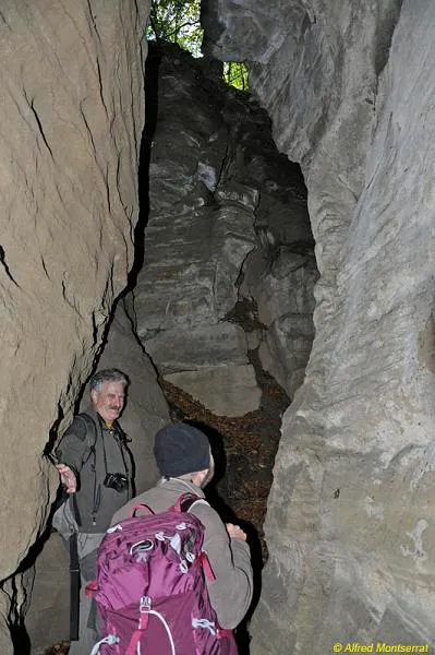 Fotografia de CORREJADES, LES (6 de 7)