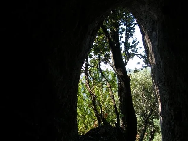 Photographie de JOAN GRAN, COVA DEL (2 sur 2)