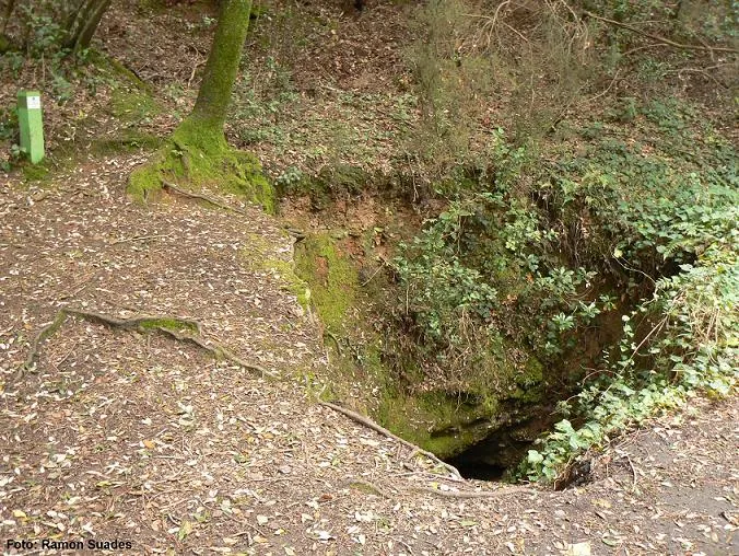 Fotografia de CARBONERA, AVENC DE LA (12 de 12)
