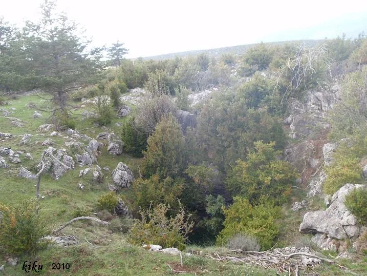 Fotografía de COLL DE CUBERES, FORAT DEL (7 de 7)