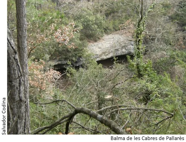Photographie de CABRES DE PALLARÈS, BALMA DE LES (1 sur 2)