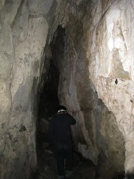 Fotografía de CARLINS, COVA DELS (3 de 3)
