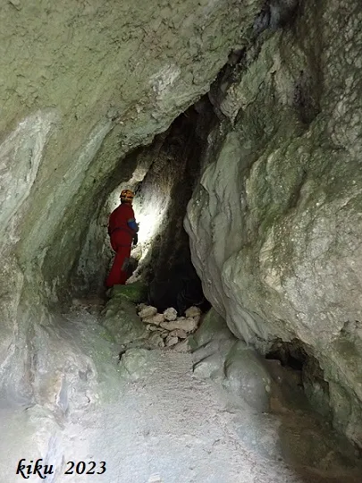 Fotografia de COMELLAR DEL MAS DEL VERD, COVA DEL (4 de 6)
