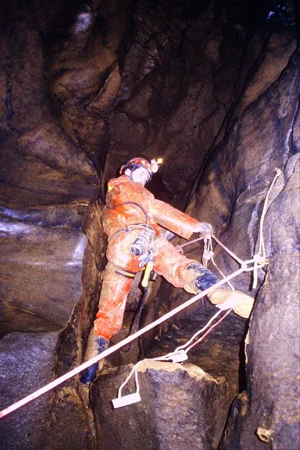 Photograph of TEC, BÒFIA DEL (3 of 7)