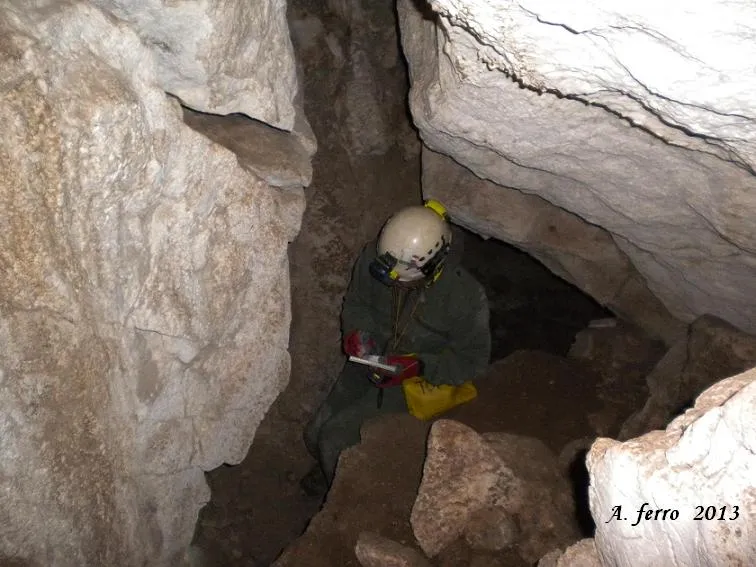 Fotografia de BANDOLER, COVA DEL (4 de 8)