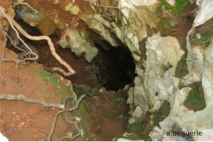 Fotografia de CARENA DE LES ALZINES, AVENC DE LA (4 de 7)