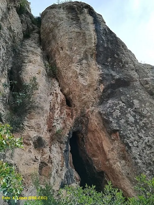 Fotografía de SALNITRE, COVA C.3 DEL (1 de 5)