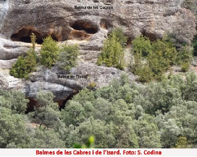 Fotografia de CABRES, BALMA D DE LES (3 de 3)