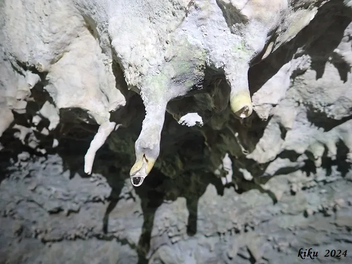 Fotografía de PASTOR, COVA DEL (7 de 12)