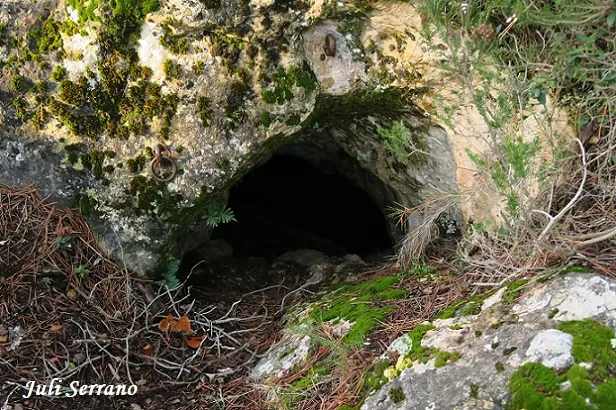 Fotografia de MAS D'EN TONI, COVA-AVENC DEL (1 de 12)