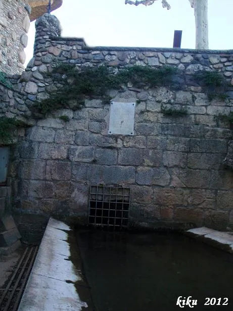 Photograph of ESPLUGA, COVA DE L' (18 of 18)