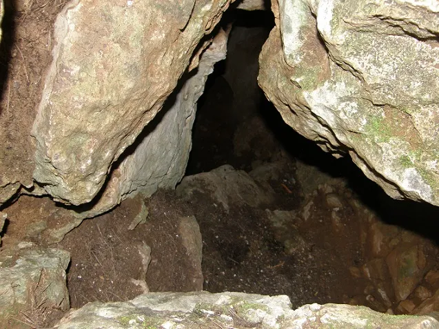 Photographie de ARRELS-CLONC, SISTEMA (15 sur 15)