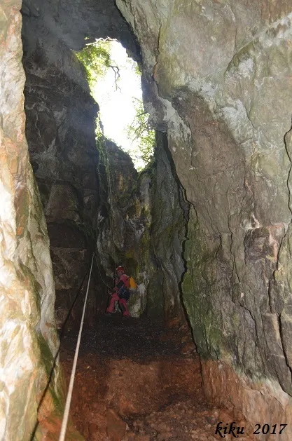 Fotografia de PAÚS,  QUERANT GRAN DE (3 de 6)