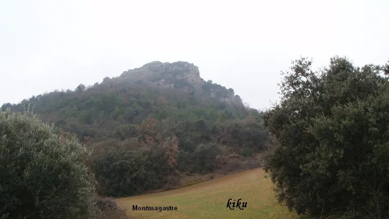 Fotografía de FORANICO,  LO (1 de 5)