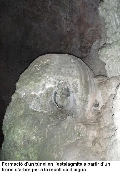 Photograph of NEGRA DE MATA-SOLANA, COVA (8 of 9)
