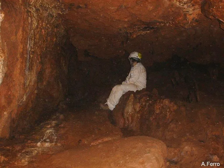 Fotografía de TOIXONS, COVA DELS (8 de 8)