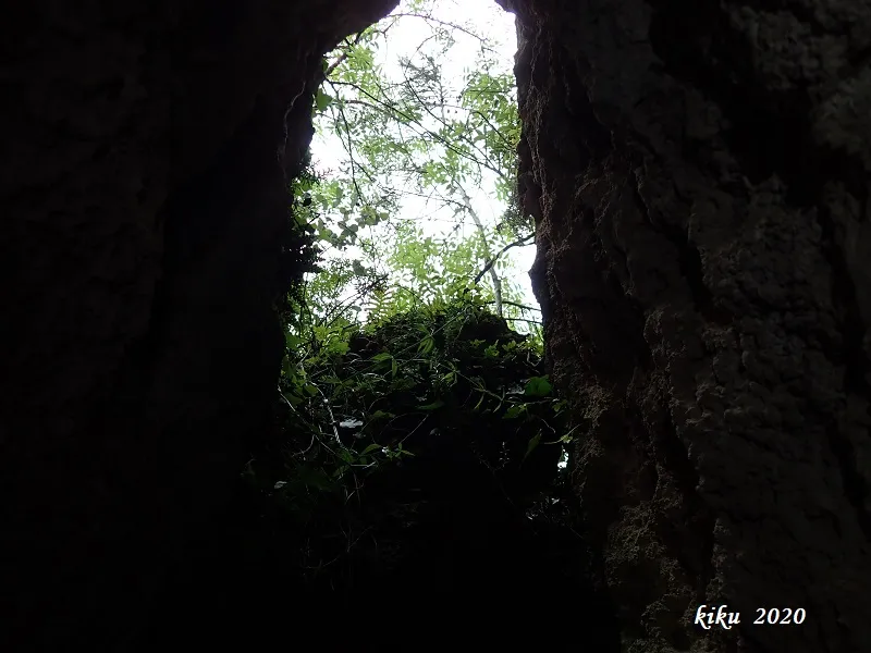 Fotografía de CALAVERA, COVA DE LA (4 de 13)