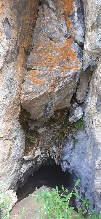 Fotografia de MONT, FORAT DEL (3 de 3)