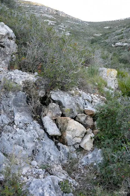 Photograph of JULIO DE LA SISTA, AVENC DE (2 of 13)