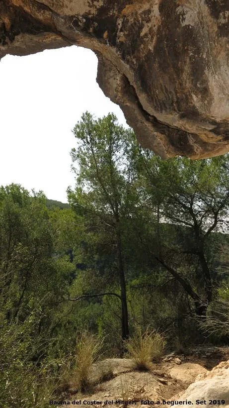 Fotografía de COSTER MITGER, BALMA DEL (5 de 6)