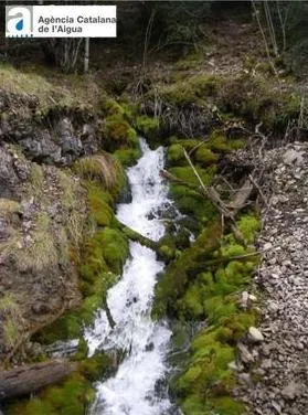 Fotografía de RIU DE MOLA, FEUS DEL (2 de 2)