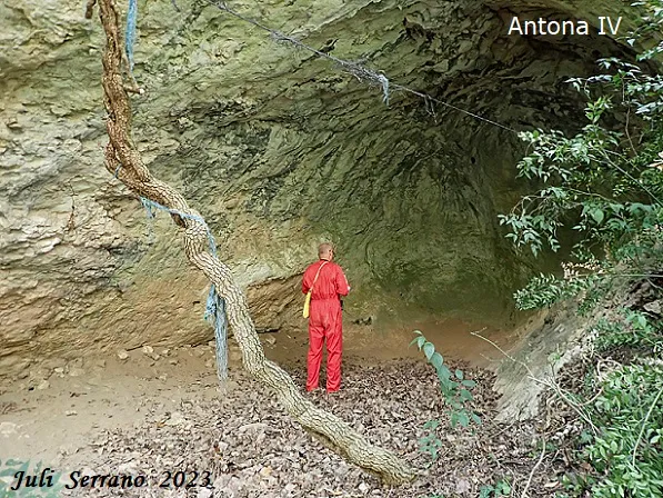 Fotografia de ANTONA, COVES D' (13 de 17)