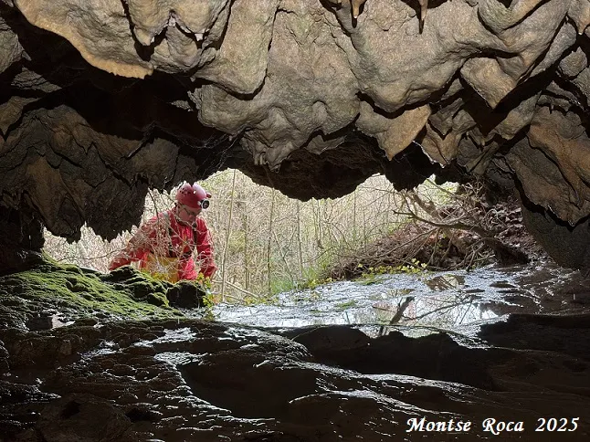 Fotografia de AIGUA DE CASELLES, COVES DE L' (2 de 13)