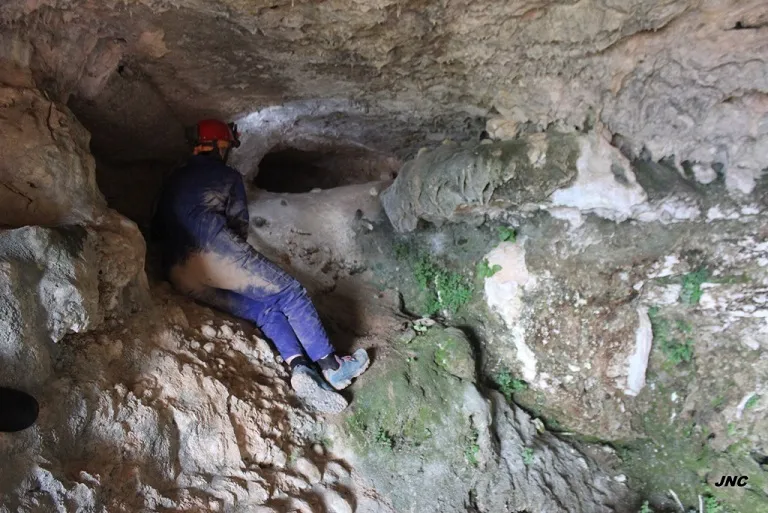 Photographie de AIGUA, COVA DE L' (4 sur 5)