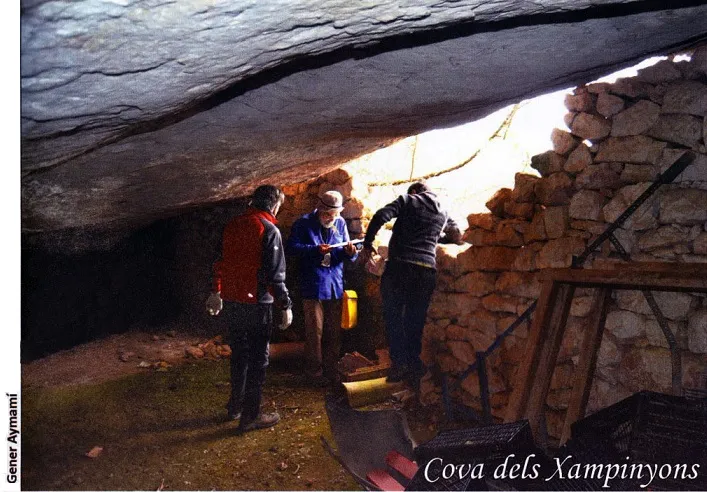 Fotografia de XAMPINYONS, COVA DELS (1 de 1)
