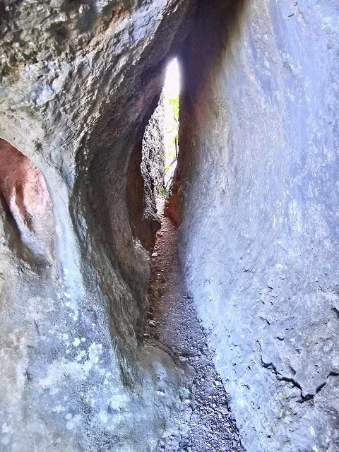 Photographie de OM, COVA DE L' (5 sur 5)