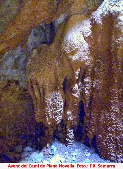 Photograph of CAMÍ DE PLANA NOVELLA, AVENC DEL (3 of 3)