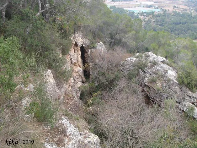 Photograph of MAMUT, COVES DEL (1 of 8)