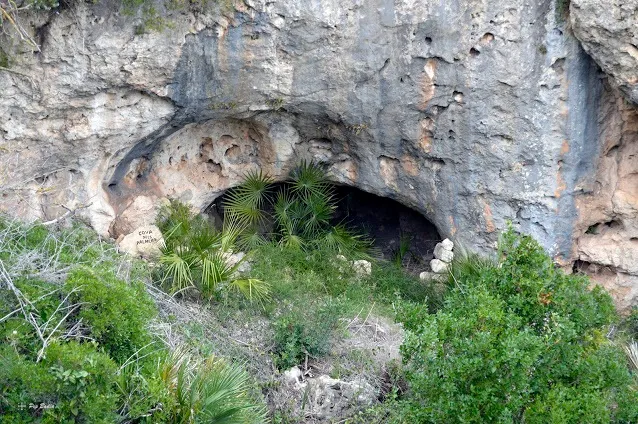 Photographie de PALMERS, COVA DELS (1 sur 1)