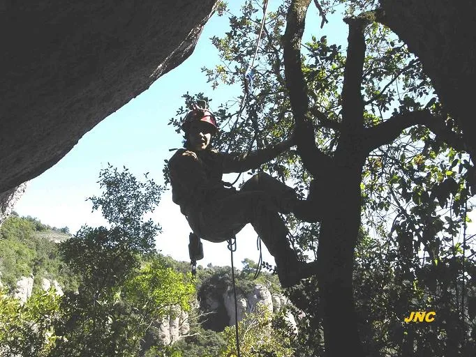 Fotografia de TALPS, COVA DELS (2 de 4)