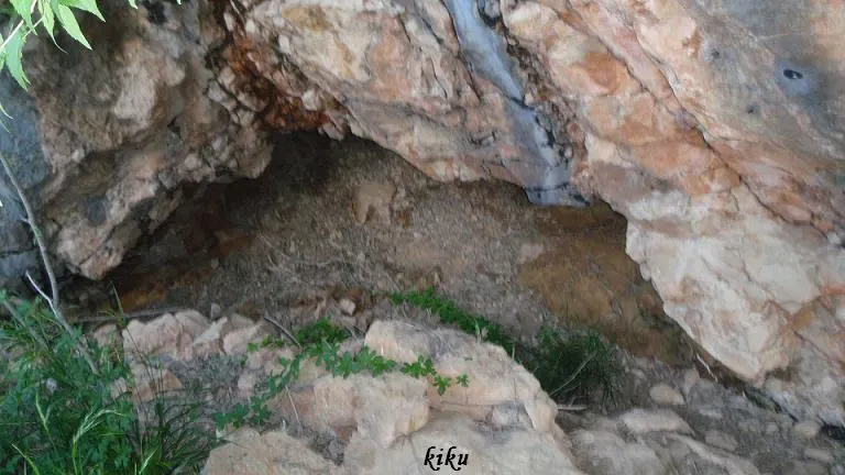 Fotografía de FREIXES, ELS (1 de 2)