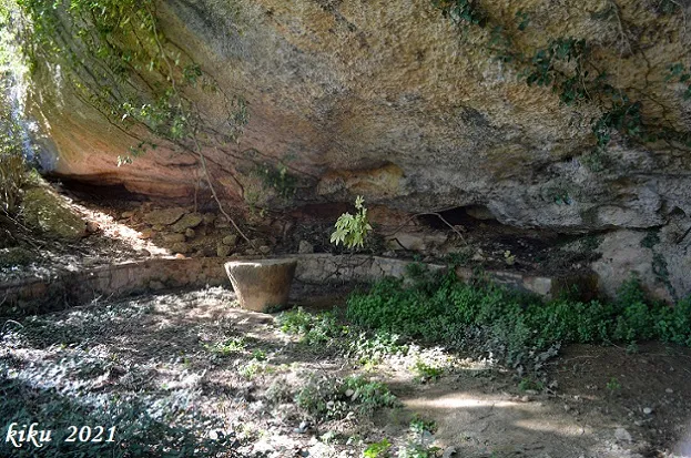 Fotografia de FORESOS, COVA DELS (1 de 13)