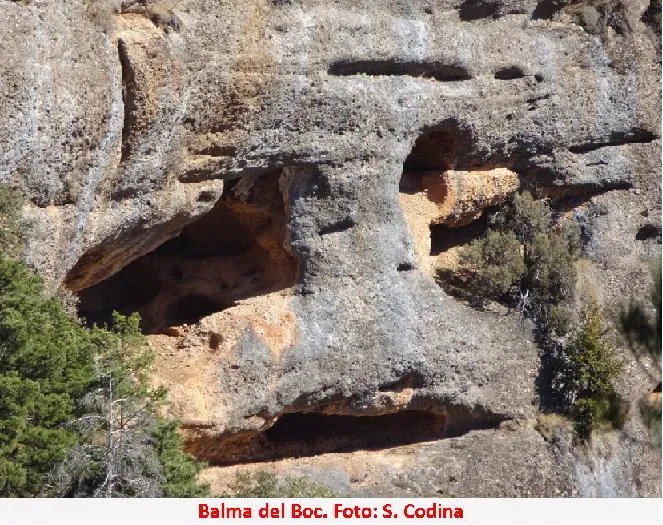 Fotografía de BOC, BALMA DEL (4 de 5)