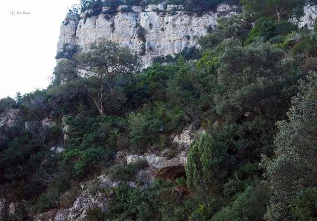 Fotografia de BASSIOL, COVA DEL (1 de 6)