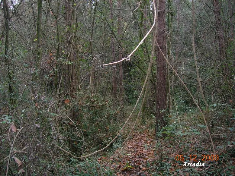 Fotografia de BORRÓ, SISTEMA DE LES BORES DEL (9 de 9)