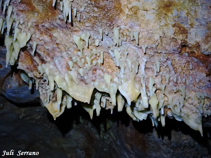 Fotografía de BONICA, COVA (7 de 11)
