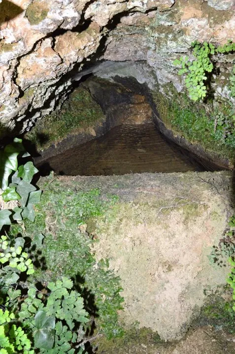 Fotografia de FONT DE LES TÀPIES, BALMA DE LA (5 de 6)