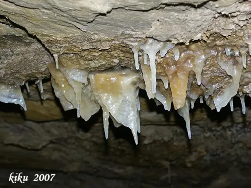 Fotografia de BRUGAL, COVA DEL (6 de 12)